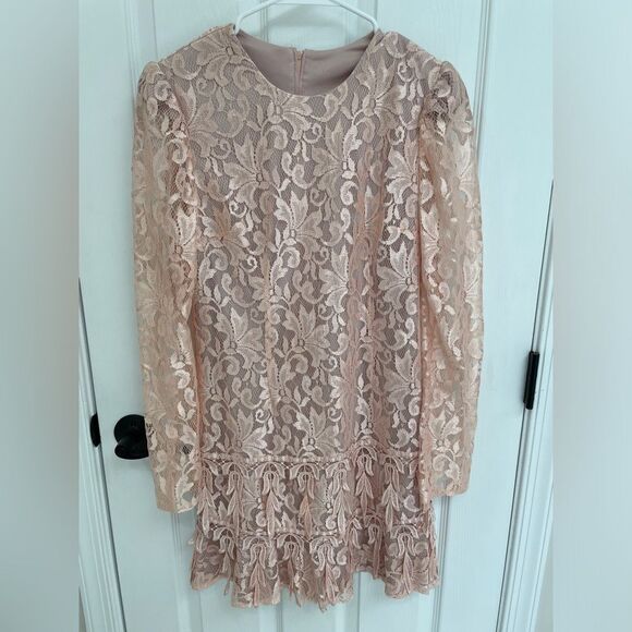 Le Art Vintage Pink Champagne Lace Layered Long Sleeve Dress Women’s Size 10 - Picture 1 of 10